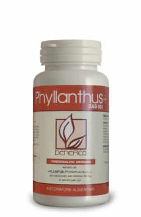 DAB 007 – Phyllanthus+